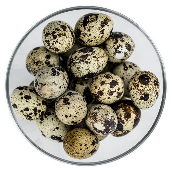 Quail Eggs isolated on white background (selective focus; close- — ストック写真