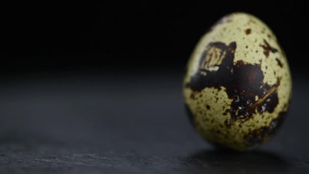 Частина Обертових Яєць Безшовна Циклічна — стокове відео