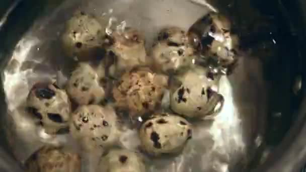 Δοχείο Βραστά Αυγά Ορτυκιού Κοντινό Πλάνο — Αρχείο Βίντεο
