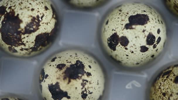Porción Huevos Codorniz Una Placa Giratoria Sin Costuras — Vídeo de stock