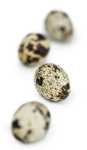 白で単離されたいくつかのウズラの卵（選択的焦点）) — ストック写真