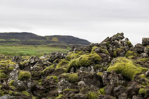 아이슬란드 지역의 분화구 근처에 — 스톡 사진