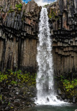 Svartifoss waterfall surrounded by dark basalt columns in Iceland clipart
