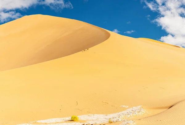 Offroad Jeep Safari Beautiful Omani Rub Chali Desert — Stock Photo, Image