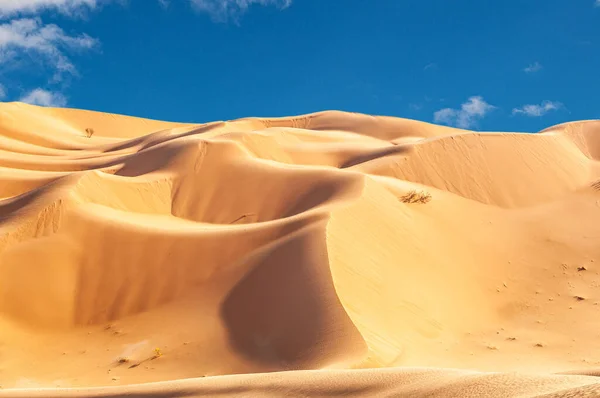 Офроуд Джип Сафарі Прекрасній Омані Руб Аль Чалі Пустелі — стокове фото
