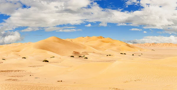Джип Сафарі Прекрасній Омані Rub Chali Desert — стокове фото