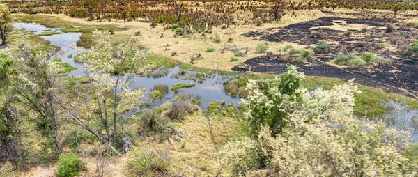 Safari Helicóptero Delta Del Okavango Botswana Durante Día Agradable Soleado —  Fotos de Stock