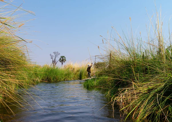Przygodowa Wycieczka Statkiem Tradycyjnym Makoro Delcie Okavango Botswana — Zdjęcie stockowe