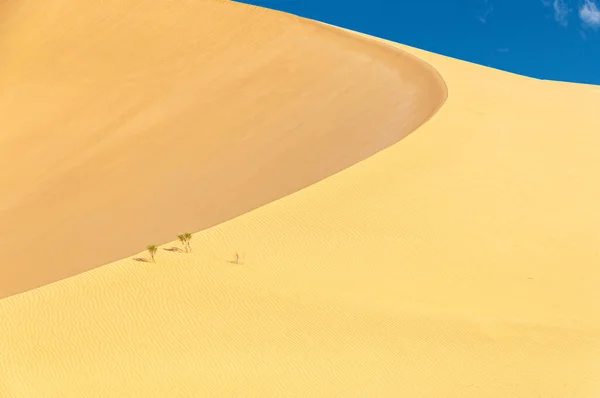 Safari Jipe Belo Deserto Omani Rub Chali — Fotografia de Stock