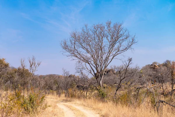 Εθνικό Πάρκο Matopos Matobo Στη Νότια Ζιμπάμπουε Κατά Χειμερινή Περίοδο — Φωτογραφία Αρχείου