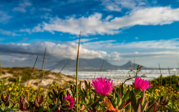Cape Town View Bloubergstrand Sunset South Africa — Stock fotografie