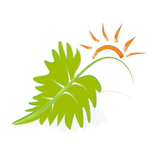 Concept écologique image vectorielle du soleil et des feuilles — Image vectorielle