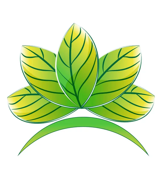 Zöld lotus növény logó — Stock Vector