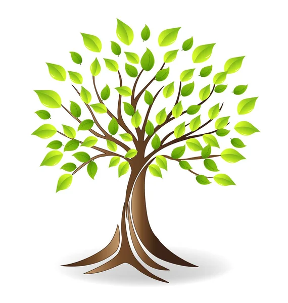 Ekoloji ağaç logosu — Stok Vektör