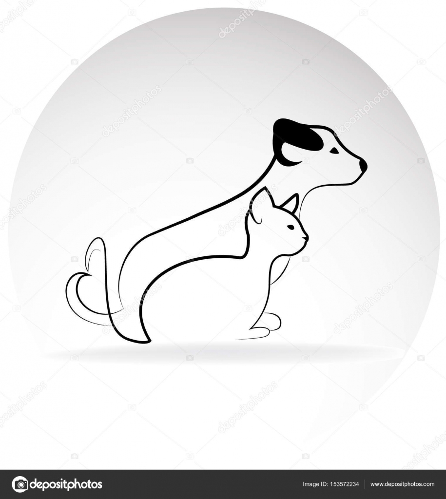 Cane E Gatto Di Logo Vettoriali Stock Glopphy 153572234