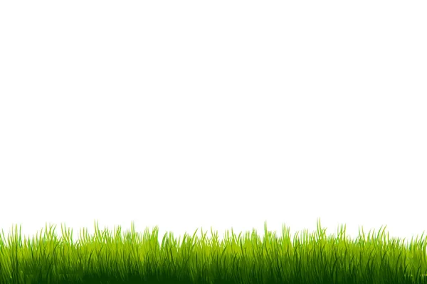 Grass on white copy-space — Stock Photo, Image
