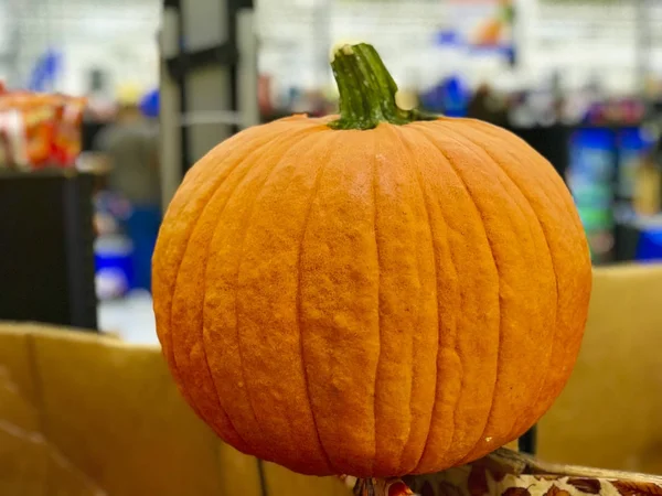 Zucca primo piano immagine sfondo — Foto Stock