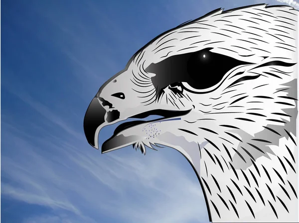 Eagle Bird Usa Symbol Background — Stock Photo, Image