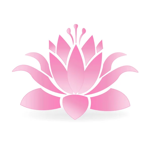 Lotus çiçeği çiçek logosu — Stok Vektör