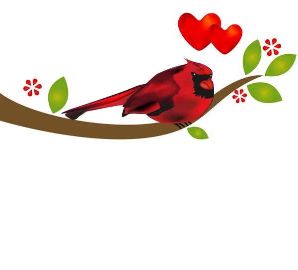 Kardinalvogel Auf Zweigbaum Bildvektorvorlage — Stockvektor