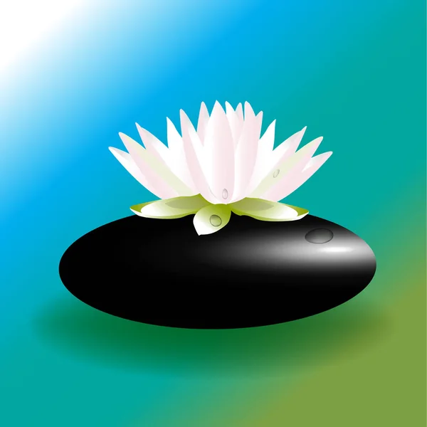 Bunga Merah Muda Lotus Pada Logo Latar Belakang Air Hitam - Stok Vektor