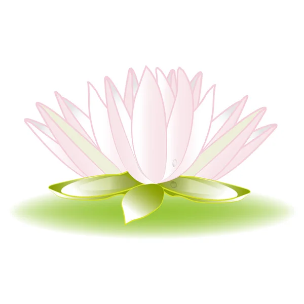 Lotus Flor Logotipo Vetor Imagem Modelo Fundo — Vetor de Stock