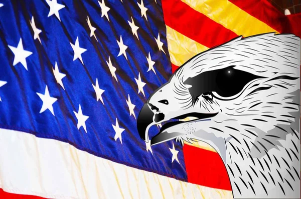 Eagle and USA flag heart background vector