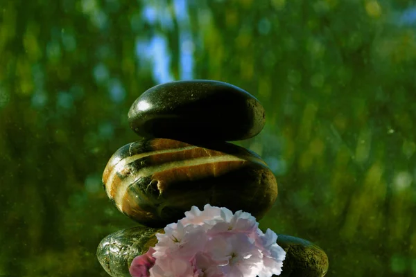 Pedras Zen Massagem Spa Com Flores Cerejeira Imagem — Fotografia de Stock
