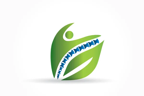 Logo ruggengraat gezondheid chiropractor id kaart business icon vector — Stockvector