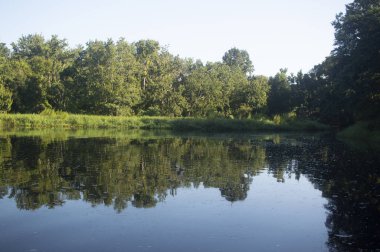 Blanchard Park Orlando Florida ABD 'deki nehirdeki ağaç yansımaları