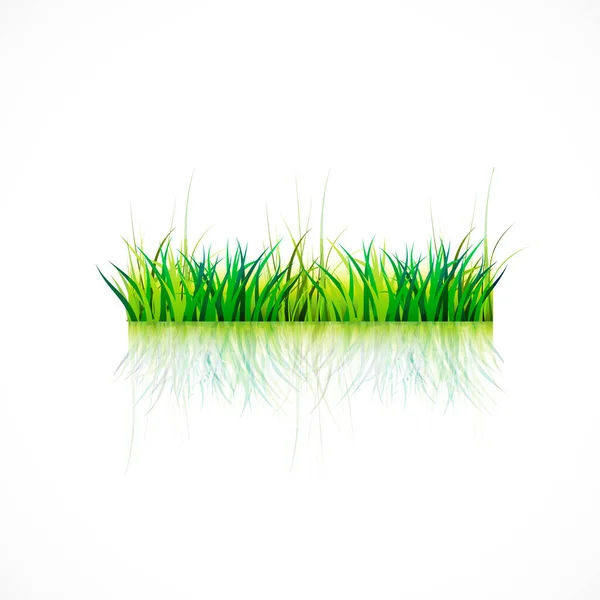 Rumput Dengan Warna Hidup Dan Refleksi Vektor Gambar Web Banner - Stok Vektor