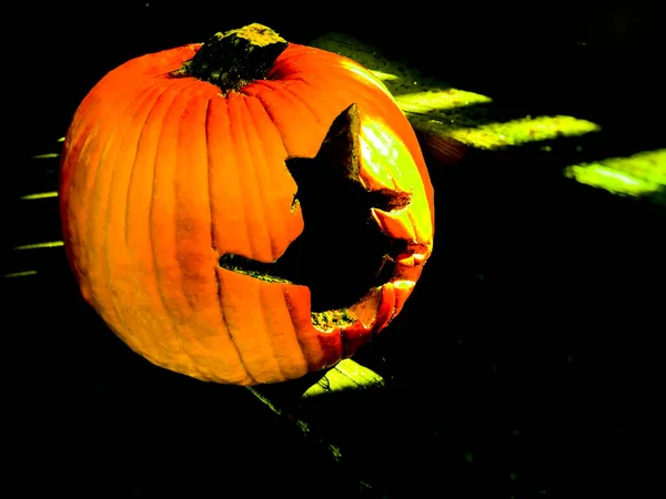 Halloween Abóbora Bruxa Festa Fundo Cartão Imagem Banner — Fotografia de Stock