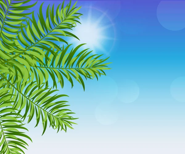 Palm Boom Zon Bubbels Bokeh Achtergrond Renderen Vector Afbeelding — Stockvector