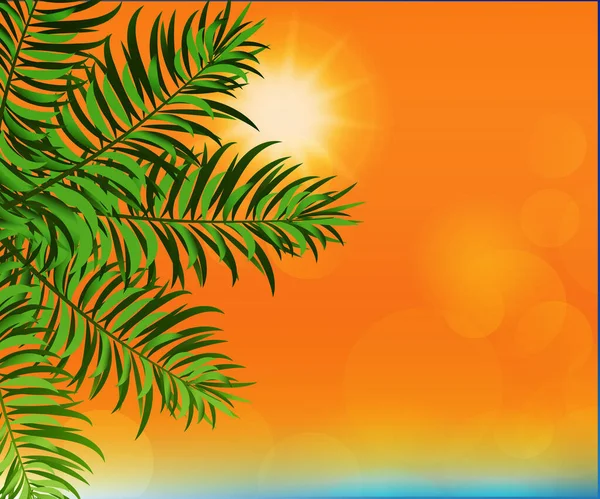 Palm Tree Sun Bubbles Bokeh Background Render Vector Image — Stock Vector