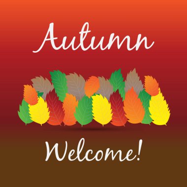 Sonbahar rengarenk sonbahar yaprakları tebrik kartları kart kutlamaları vektör resim arkaplan şablonu oluşturma