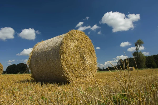 フィールドで干し草の俵を大きな — ストック写真