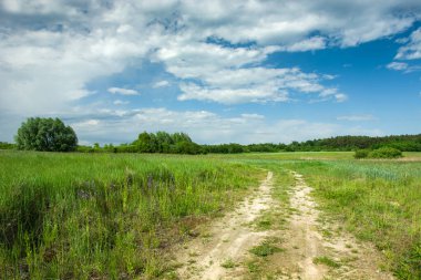 Yeşil bir tarladan geçen toprak yol, ufuktaki orman ve mavi gökyüzündeki bulutlar.