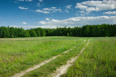 Yeşil çayırlarda toprak yol, ufukta orman ve mavi gökyüzünde bulutlar.