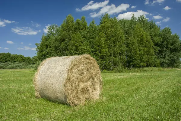 Een grote hooibaal liggend op een weide, bomen en blauwe lucht — Stockfoto