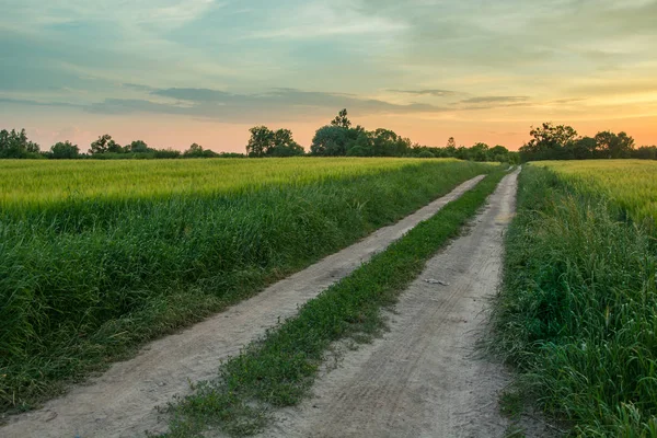 Dirt road through green fields and clouds after sunset — Stock Photo, Image