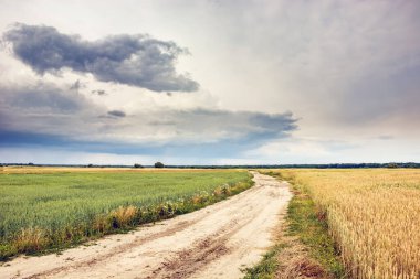 Kum yolu tarlaların arasından ve gökyüzündeki yağmurlu bulutlar