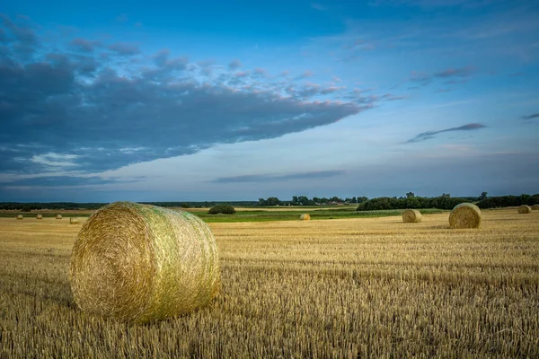 野原と夕方の空の丸い干し草のベール — ストック写真