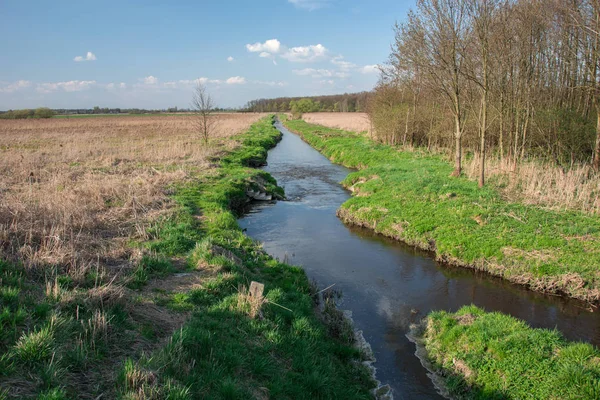 ポーランド東部の小さなウエルカ川 — ストック写真