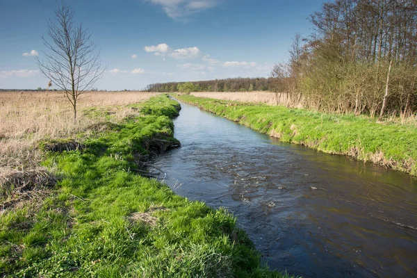 ポーランド東部を流れる川の流れが速い — ストック写真