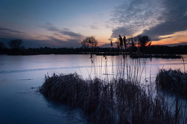 Reeds em um lago congelado, nuvens da noite após o pôr do sol — Fotografia de Stock
