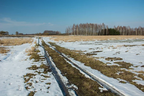 Sciogliere la neve su una strada sterrata attraverso campi e prati selvaggi, cedui e cielo limpido — Foto Stock