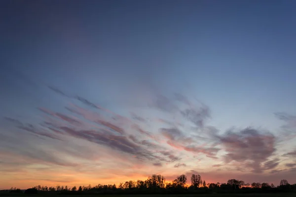 Ufukta ağaçlar, gökyüzü ve gün batımından sonra renkli bulutlar. — Stok fotoğraf