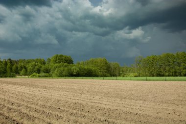 Pürüzlü tarlalar, ağaçlar ve kara fırtına bulutları