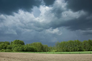 Gökyüzünde kara fırtınalı bulutlar, yeşil ağaçlar ve tarlalar