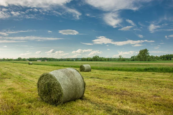 空のフィールドと雲の中に刈られた干し草の谷 — ストック写真